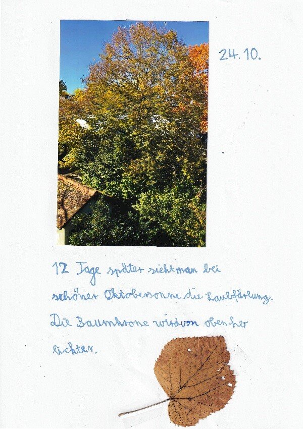 Naturkundeunterricht Pflanzenkunde an der Waldorfschule